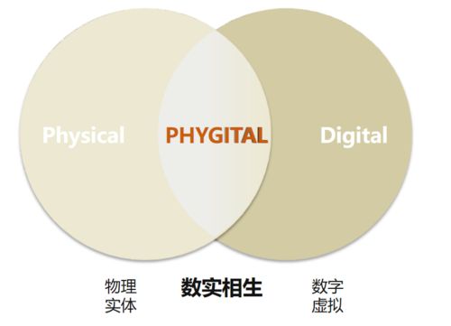 數(shù)實相生 數(shù)字化服務轉(zhuǎn)型發(fā)展的統(tǒng)籌與融通